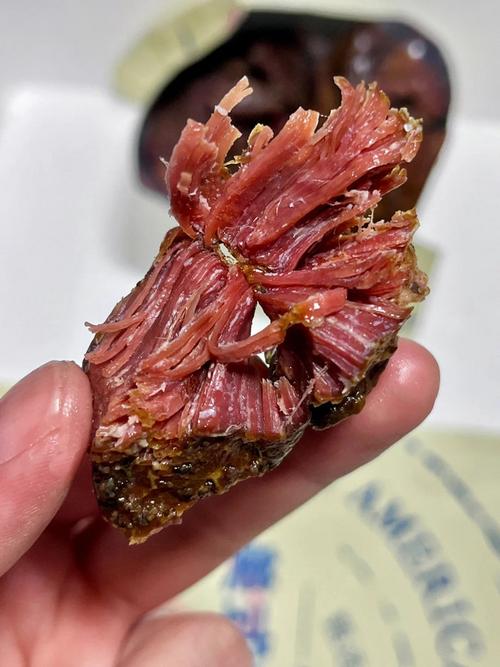 肉干肉脯